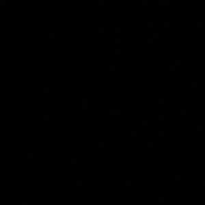 Meet your Posher, Jerry